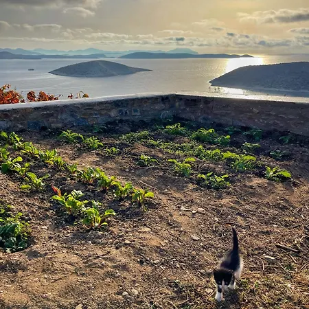 Meltemi Retreat 4* Irakleia (Naxos)