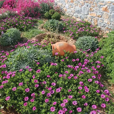 Meltemi Retreat 4* Ираклия