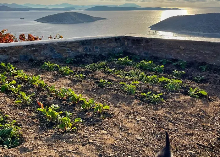Meltemi Retreat 4* Irakleia (Naxos)